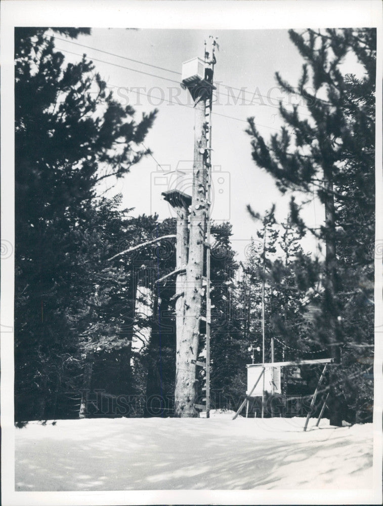 1946 US Weather Bureau Wind Speed Device Press Photo - Historic Images