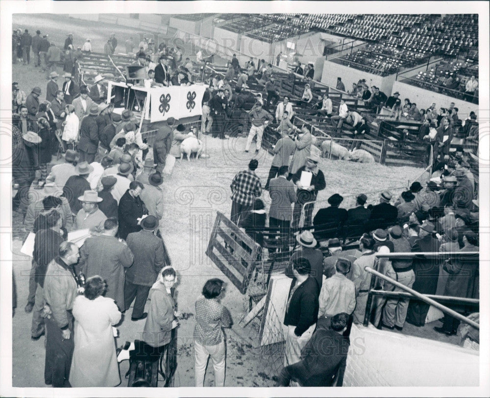 1960 Michigan 4H Jr. Livestock Show Press Photo - Historic Images