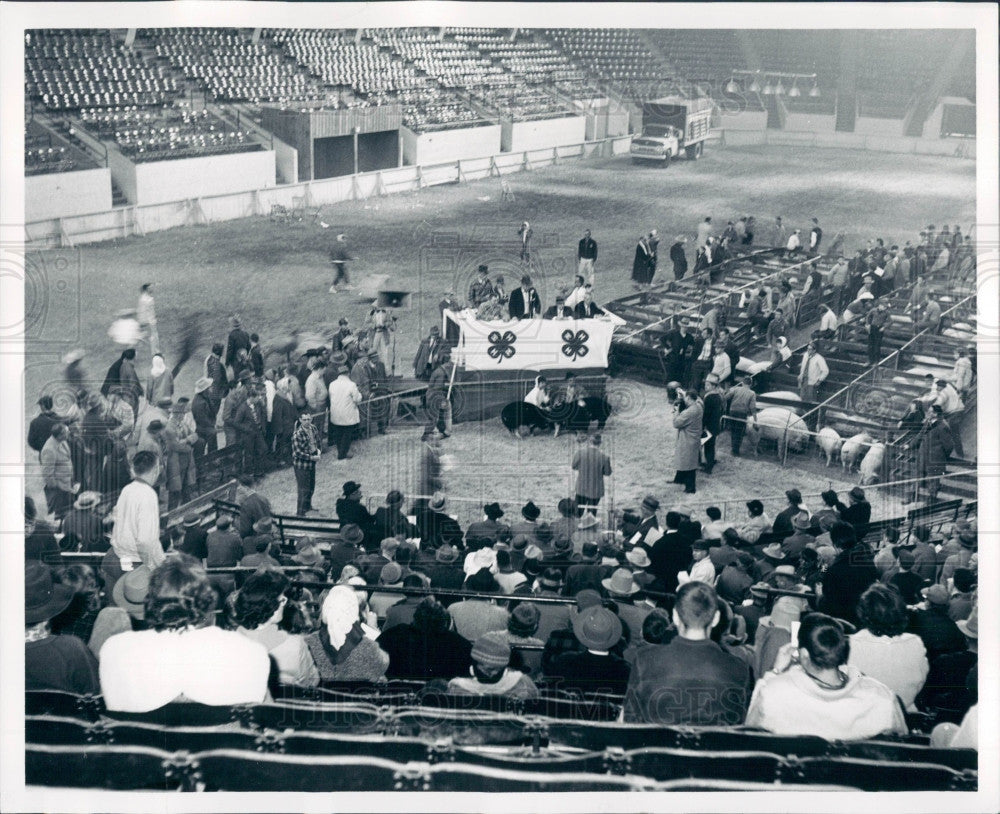 1960 Michigan 4H Jr. Livestock Show Press Photo - Historic Images