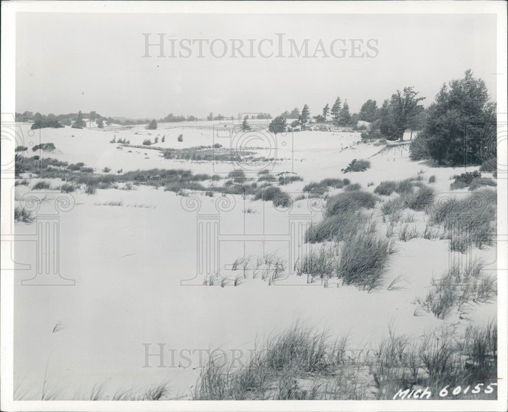 1941 West Ottawa County MI Sand Dunes Press Photo - Historic Images