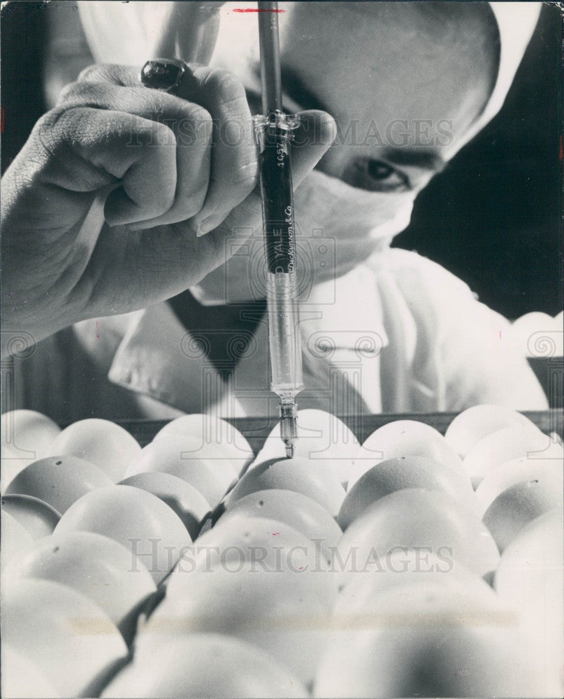 1954 Technician Inoculating Chick Embryos Press Photo - Historic Images