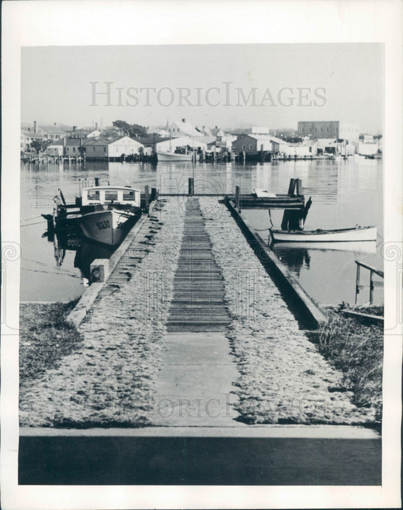 1944 N Carolina Duke Univ Seaweed Press Photo - Historic Images