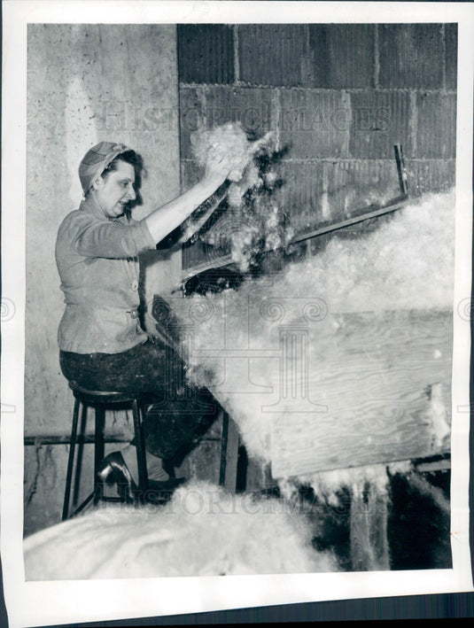 1944 Elizabeth Kinkels Processing Cattails Press Photo - Historic Images