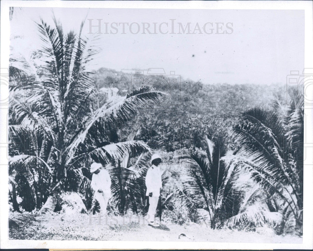 1944 Truk Islands Japanese Naval Officers Press Photo - Historic Images