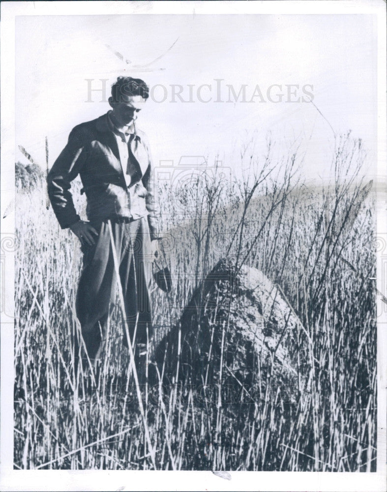 1957 Fire Ant Mound Press Photo - Historic Images