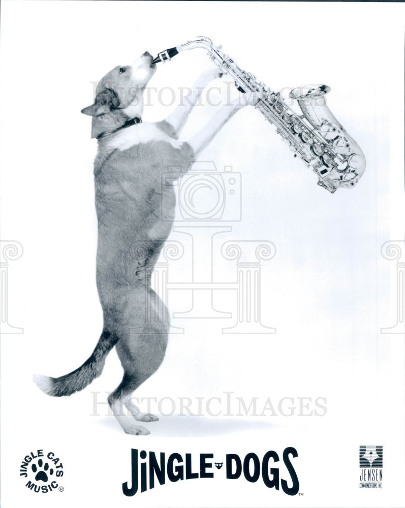 1995 Entertainers Jingle Dogs Press Photo - Historic Images