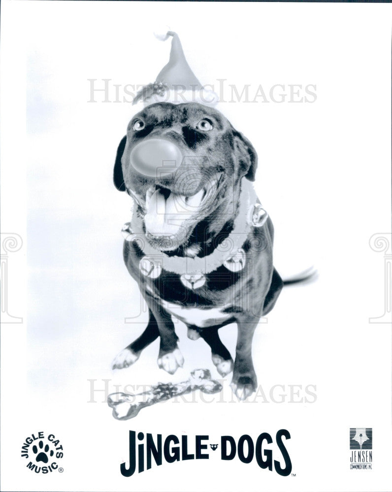 1995 Entertainers Jingle Dogs Press Photo - Historic Images