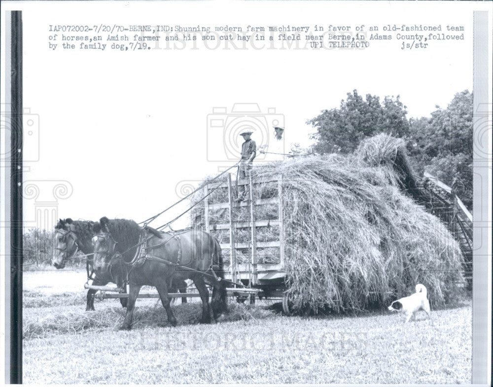 1970 Berne Indiana Amish Farmer Press Photo - Historic Images