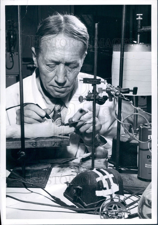 1952 Univ of Denver Dr Fred D'Amour Press Photo - Historic Images