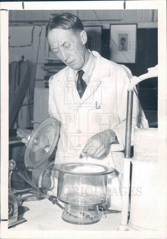 1946 Univ of Denver Dr Fred D&#39;Amour Press Photo - Historic Images