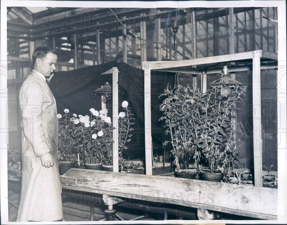 1939 Univ Chicago Botanist Dr. Karl Hamner Press Photo - Historic Images