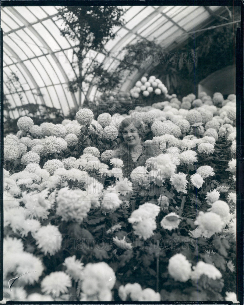 1928 Detroit Michigan Chrysanthemum Show Press Photo - Historic Images