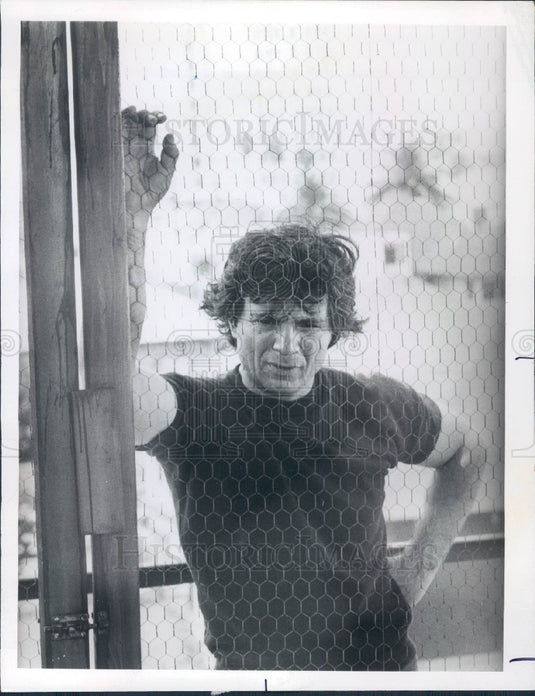 1977 Actor Robert Blake Press Photo - Historic Images