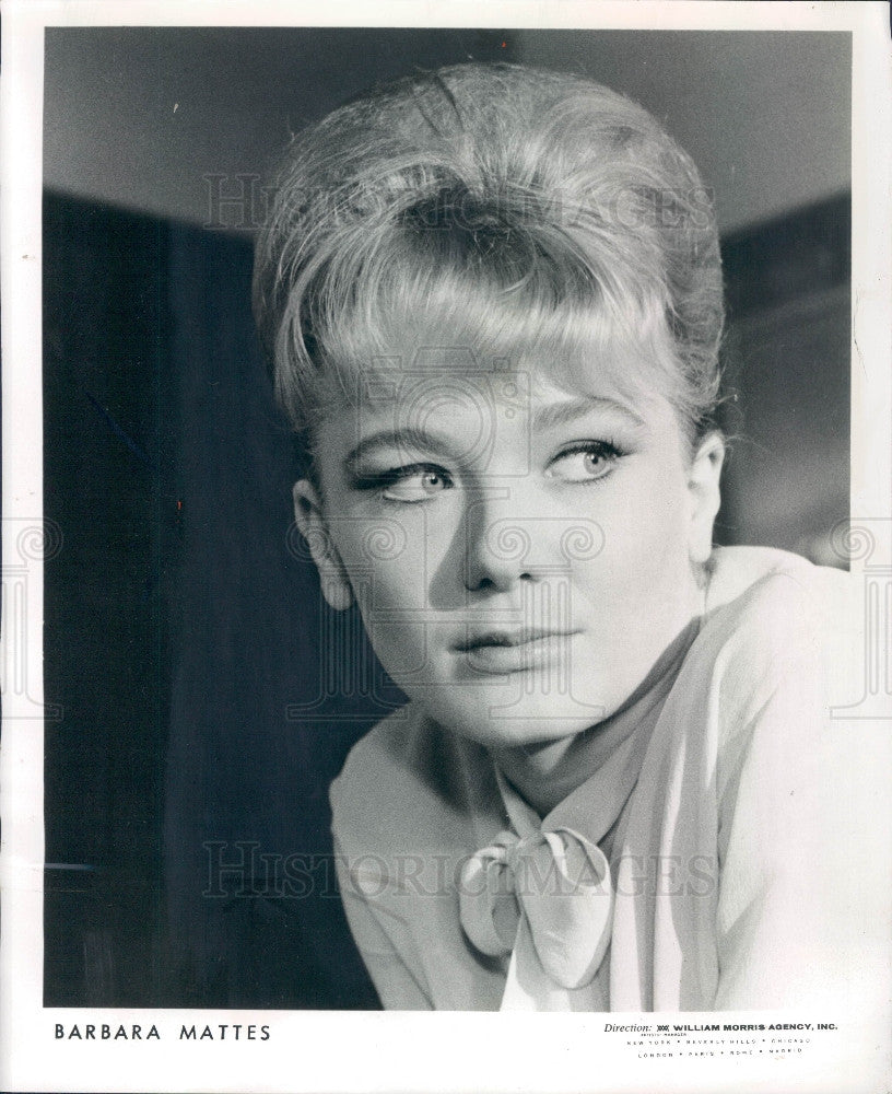 1963 Actress Barbara Mattes Press Photo - Historic Images
