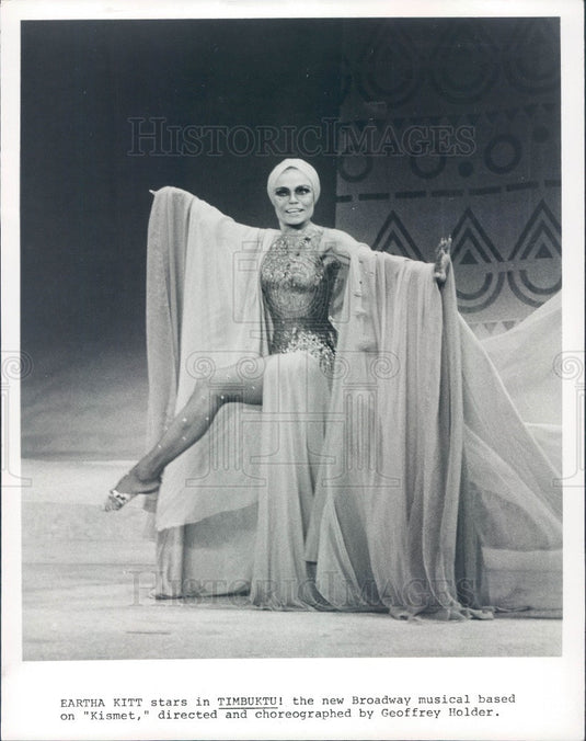 1979 Singer and Actress Eartha Kitt Press Photo - Historic Images