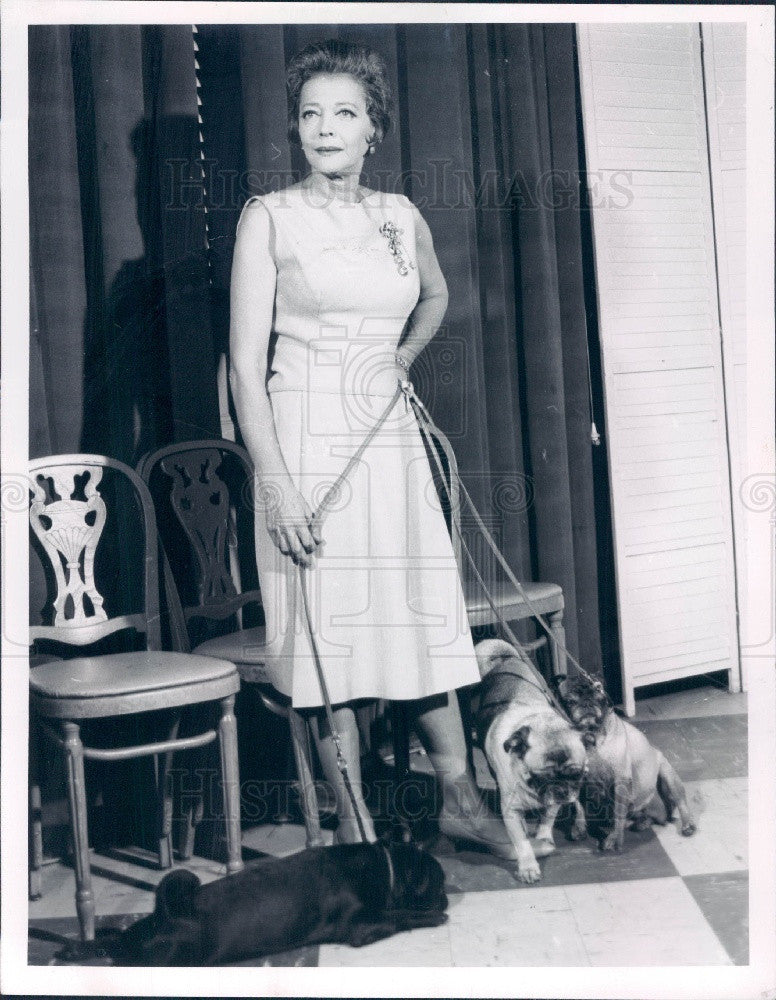 1965 Actress Sylvia Sidney Press Photo - Historic Images