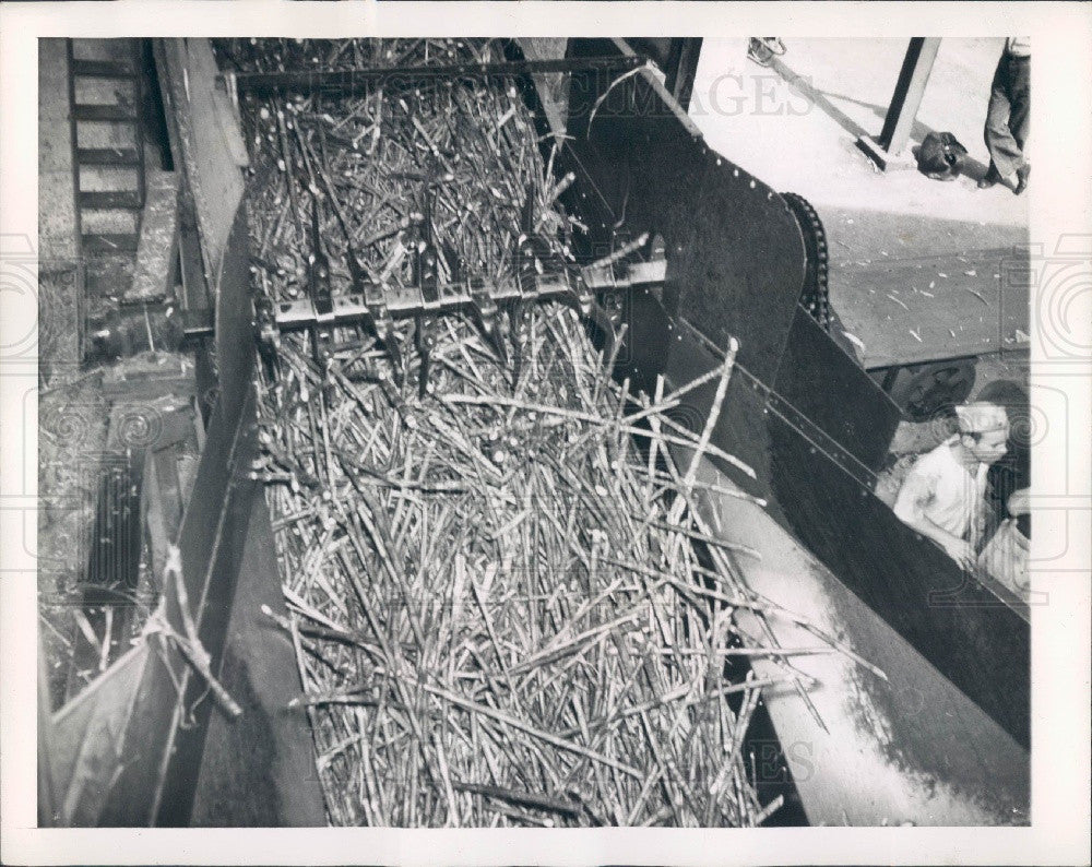 1942 Cuba Sugar Cane Factory Press Photo - Historic Images