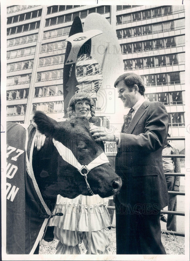 1977 IL Prize Steer American Cancer Society Press Photo - Historic Images