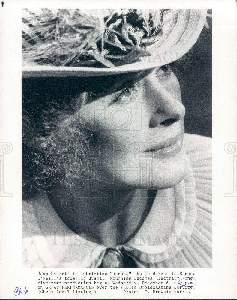 1978 Actress Joan Hackett Press Photo - Historic Images