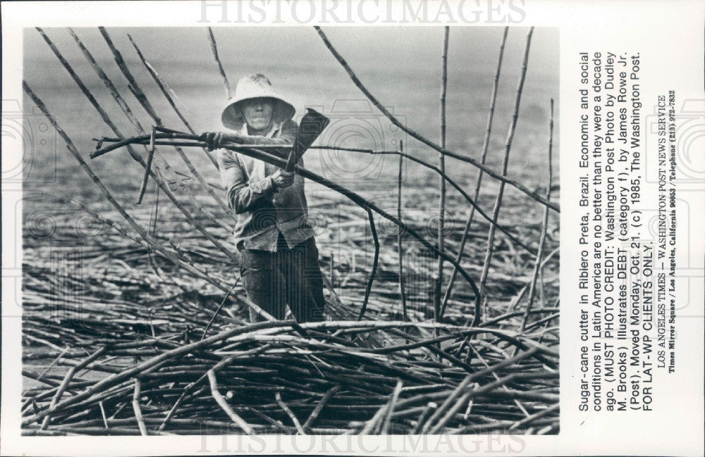 1985 Ribiero Preta Brazil Sugar Cane Cutter Press Photo - Historic Images