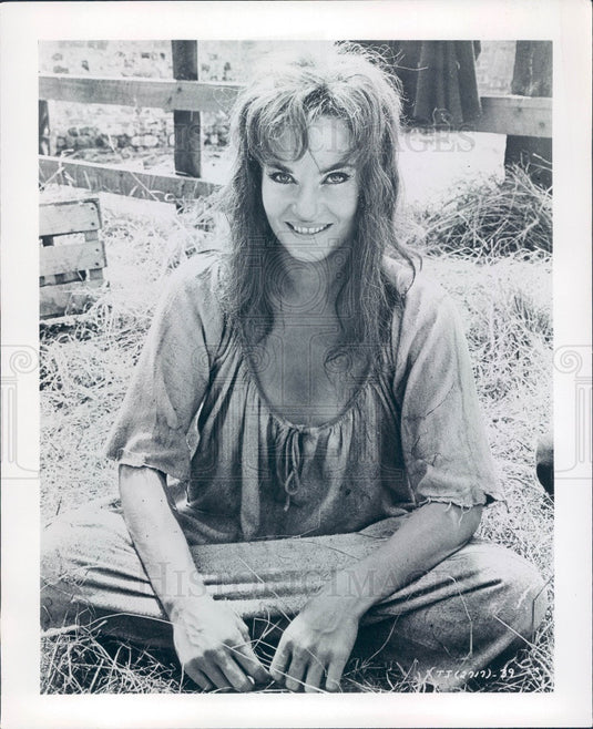 Undated Actor Diane Cilento Press Photo - Historic Images