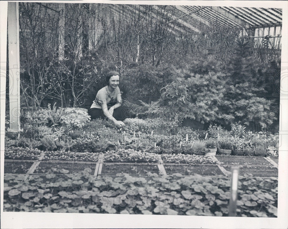 1932 North American Flower Show Press Photo - Historic Images