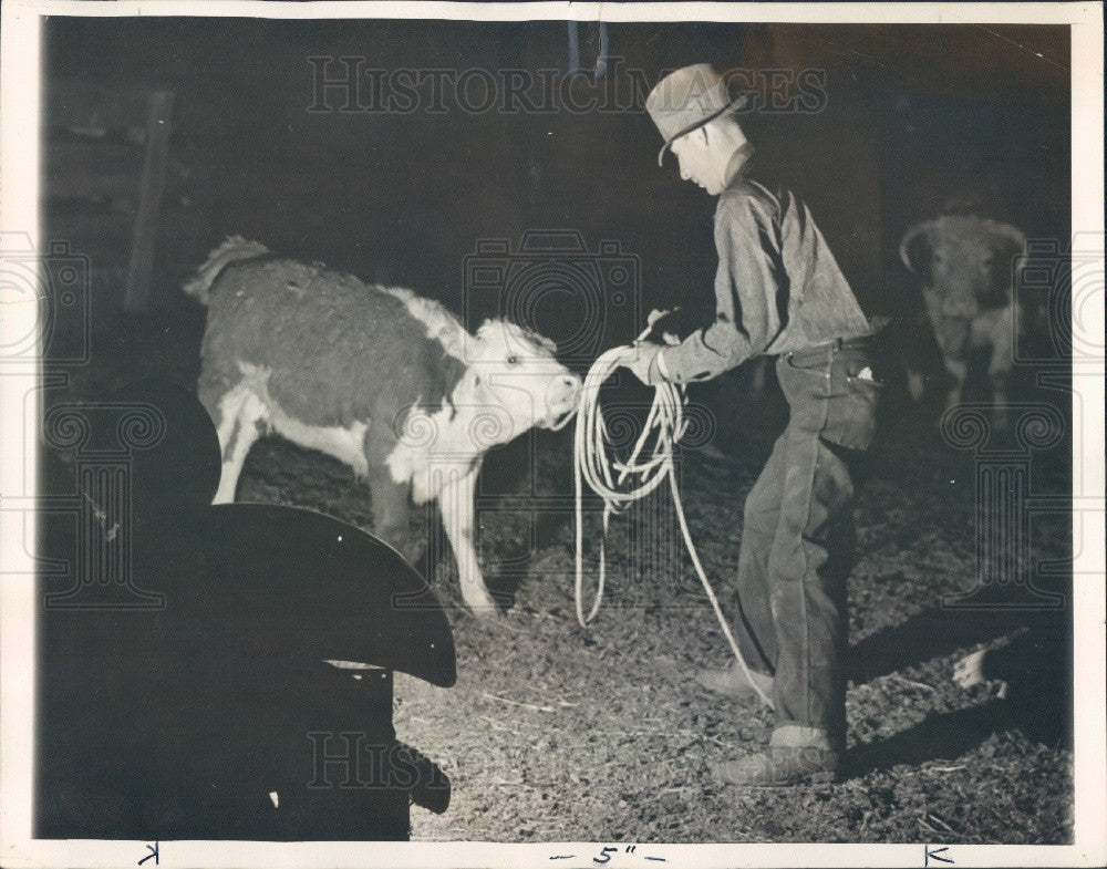 1937 Cattle Rustler Stealing a Calf Press Photo - Historic Images