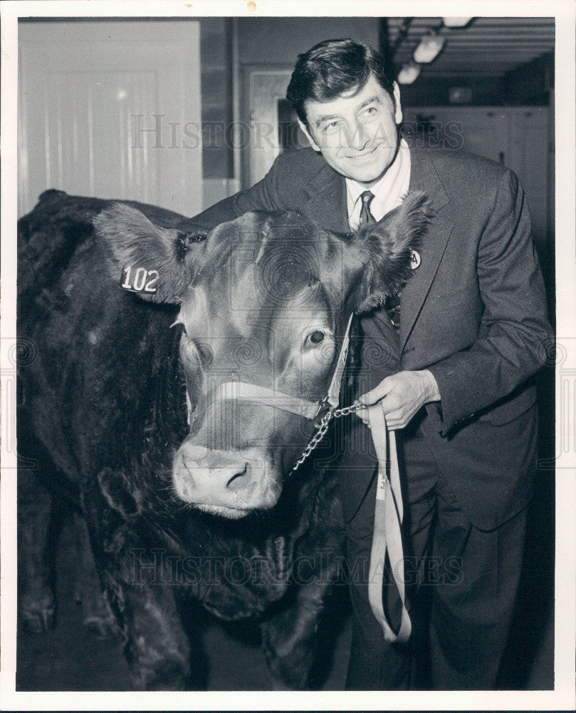 1973 Chicago Zoo Champion Steer Cuddles Press Photo - Historic Images