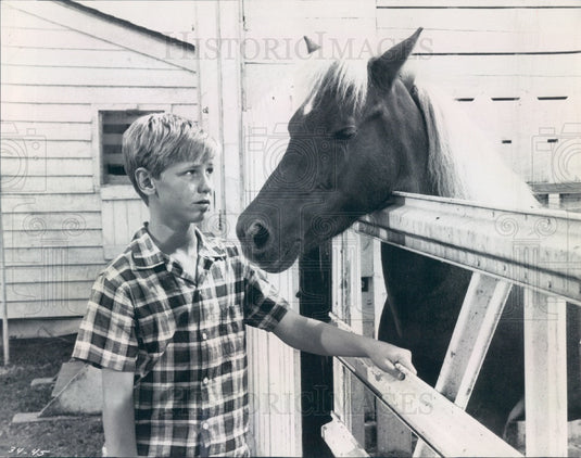 1961 Actor David Ladd Press Photo - Historic Images
