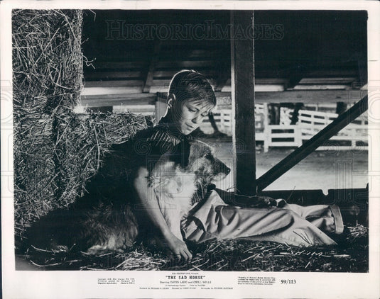 1959 Actor David Ladd Press Photo - Historic Images