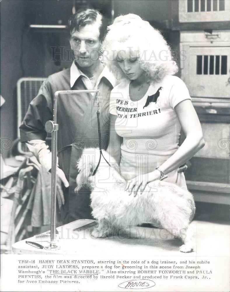 1981 Actors Harry Dean Stanton/Judy Landers Press Photo - Historic Images