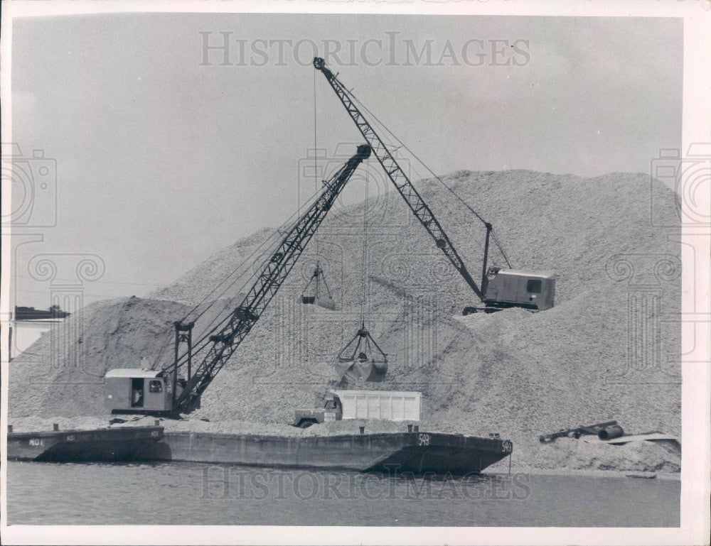 1971 St Petersburg Florida Sea Shell Catch Press Photo - Historic Images