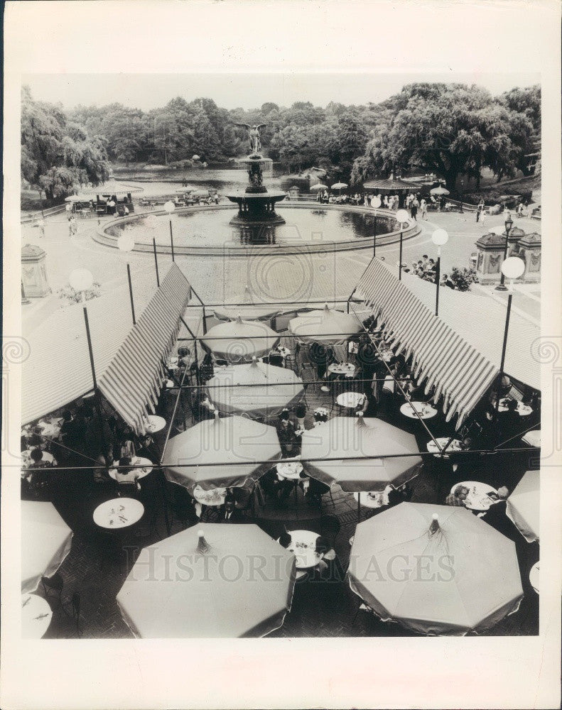 1967 New York City Central Park Fountain Press Photo - Historic Images