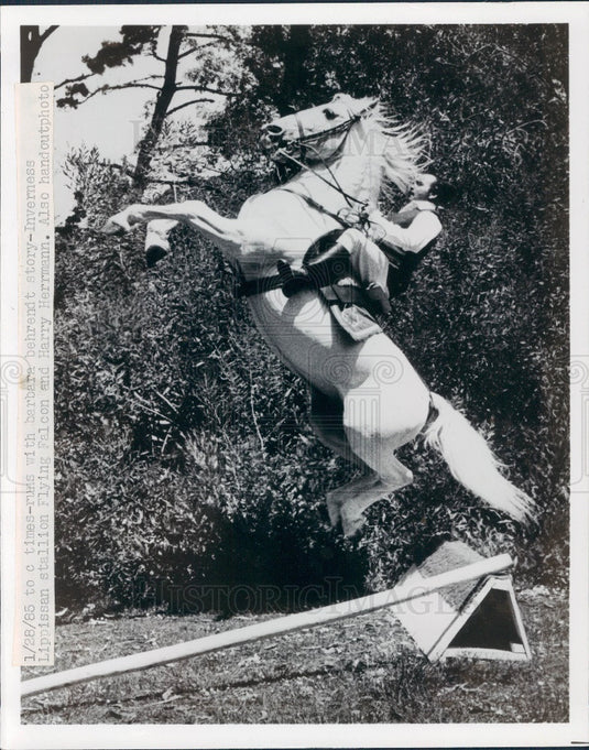 Undated Lipizzan Stallion and Harry Herrmann Press Photo - Historic Images