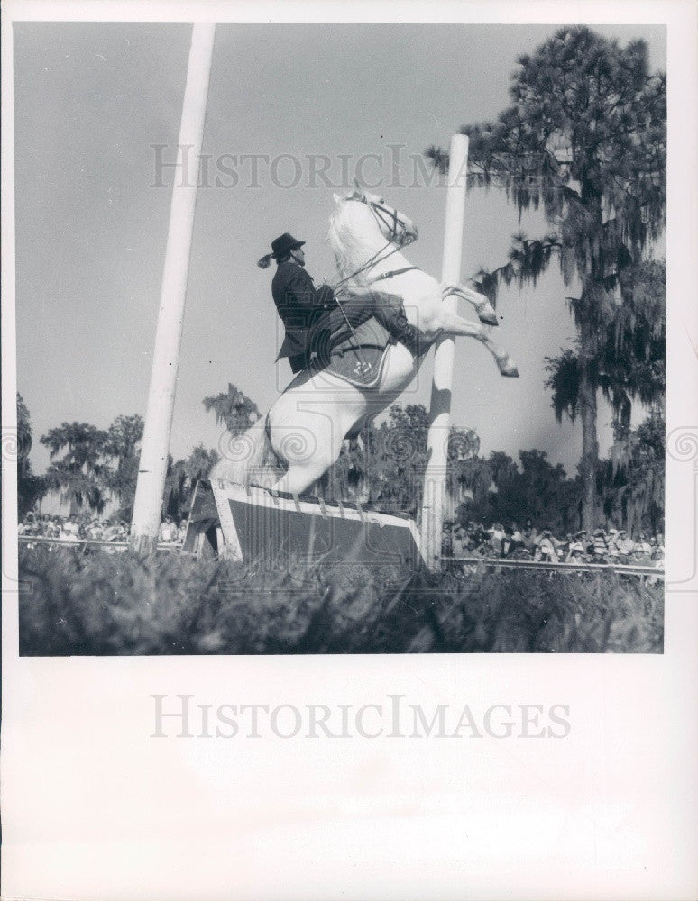 Undated Lipizzan Stallion Press Photo - Historic Images