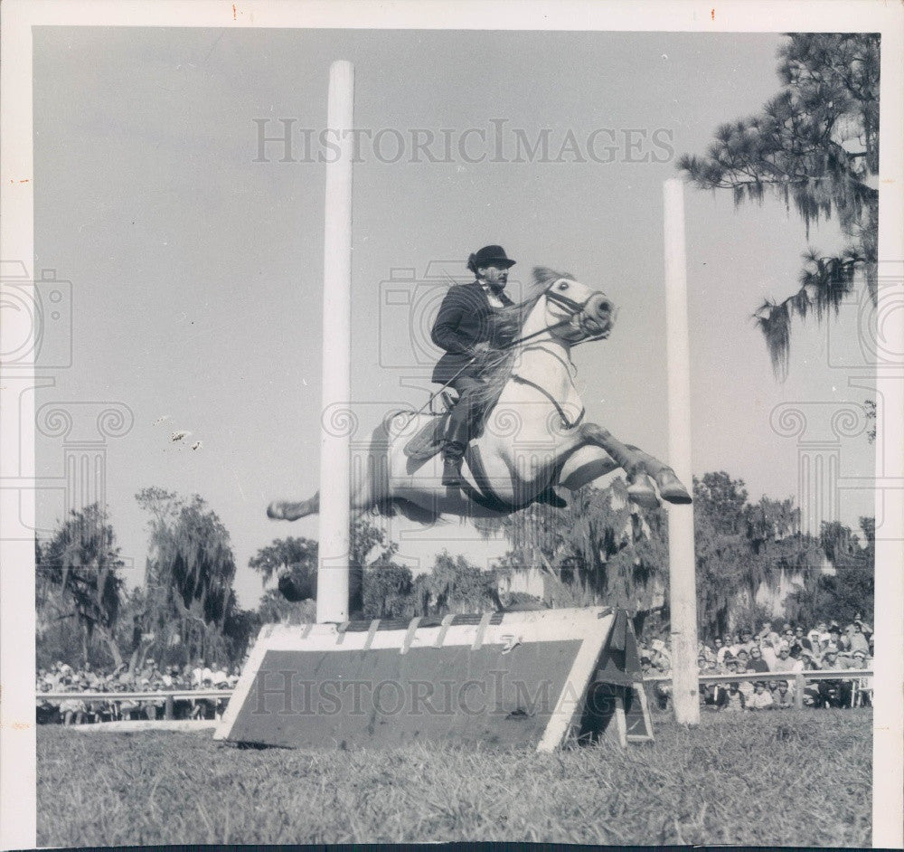 1971 Lipizzan Stallion Press Photo - Historic Images