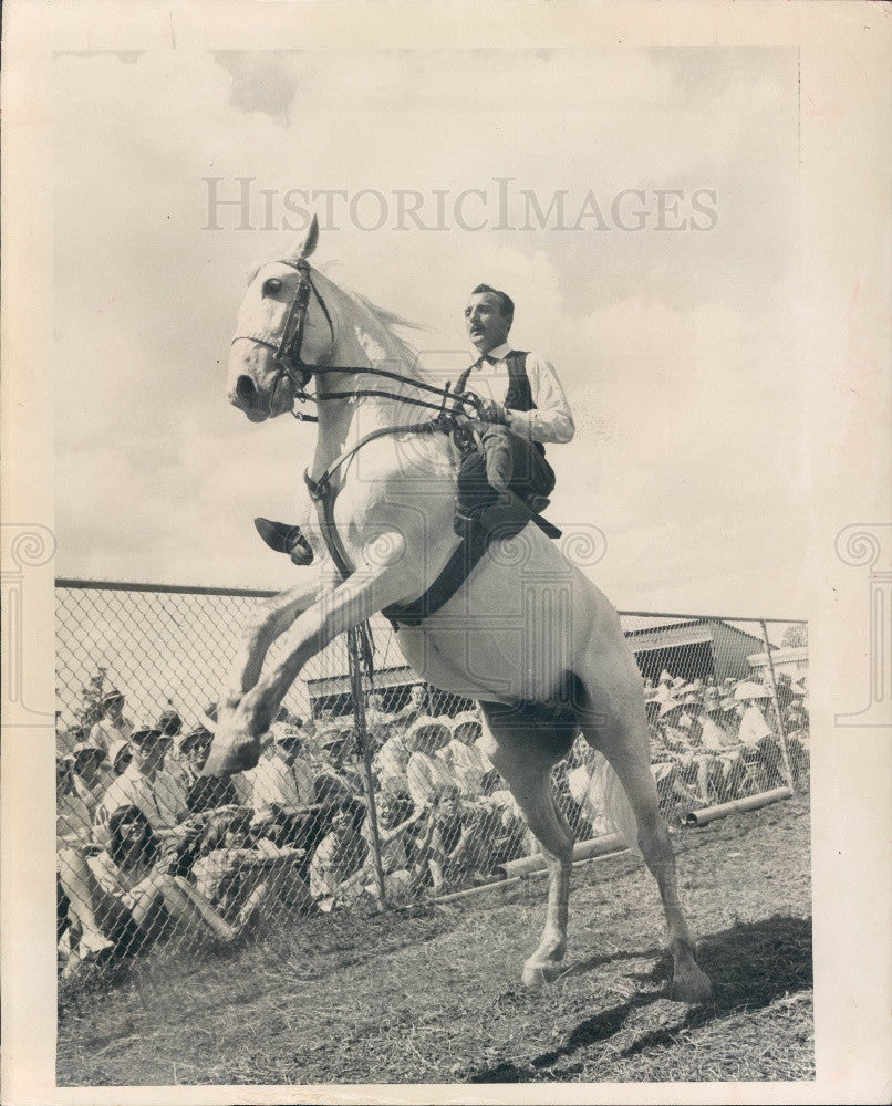 1967 Lipizzan Stallion and Harry Herrmann Press Photo - Historic Images