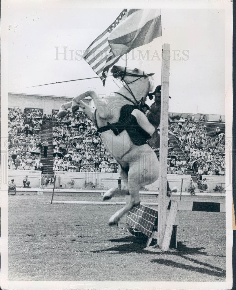 1969 Lipizzan Stallion Press Photo - Historic Images