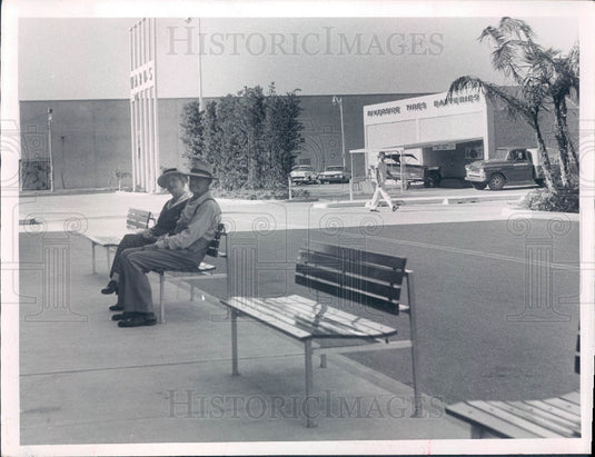 1959 St Petersburg Florida Green Benches Press Photo - Historic Images