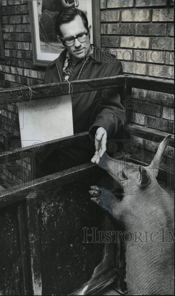 1978 Alabama-Birmingham Zoo's Doug the Aardvark sniffs Truett's hand-Historic Images