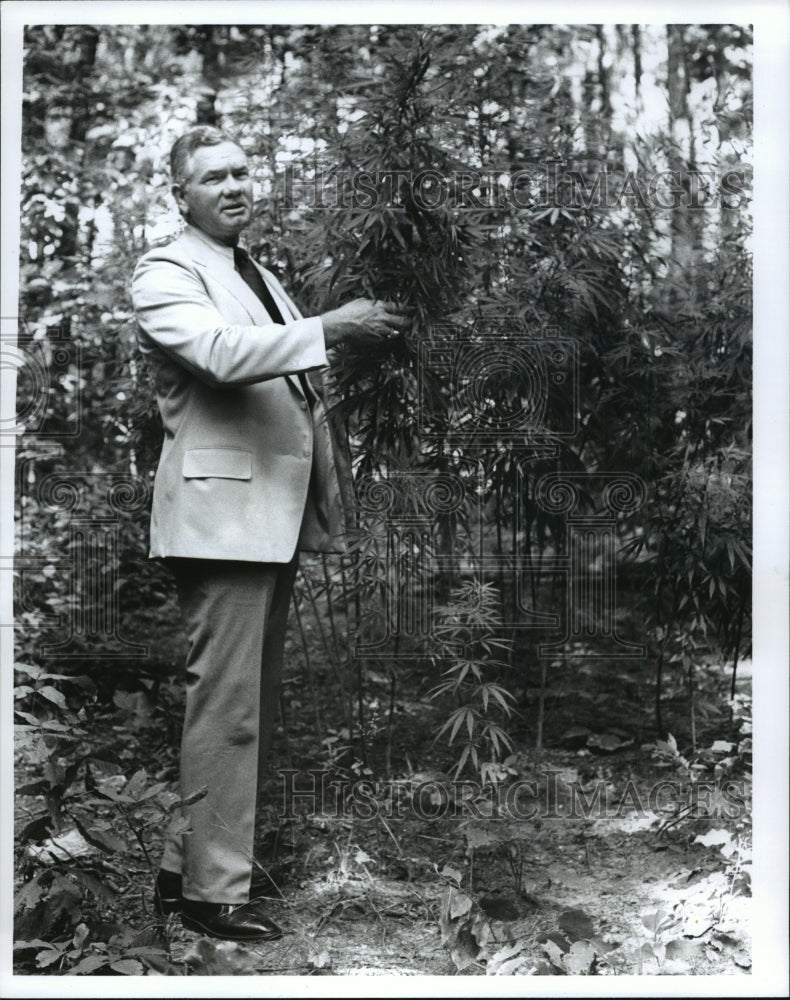 1973, Man standing by a tree - abna05282 - Historic Images