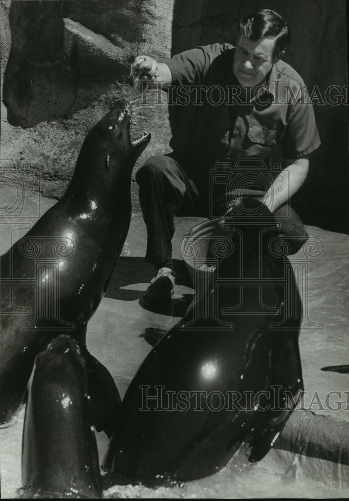 1981 Press Photo Alabama-Birmingham zoo keeper Lewis Pair feeds sea lions. - Historic Images