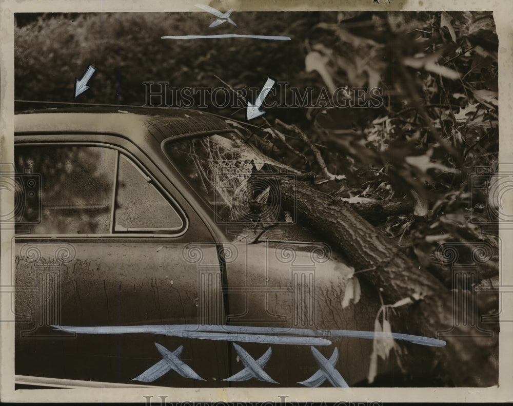 1950 Press Photo Alabama-Trees and power lines damage car in Birmingham storm. - Historic Images