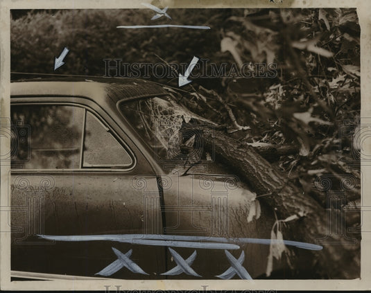1950 Press Photo Alabama-Trees and power lines damage car in Birmingham storm. - Historic Images