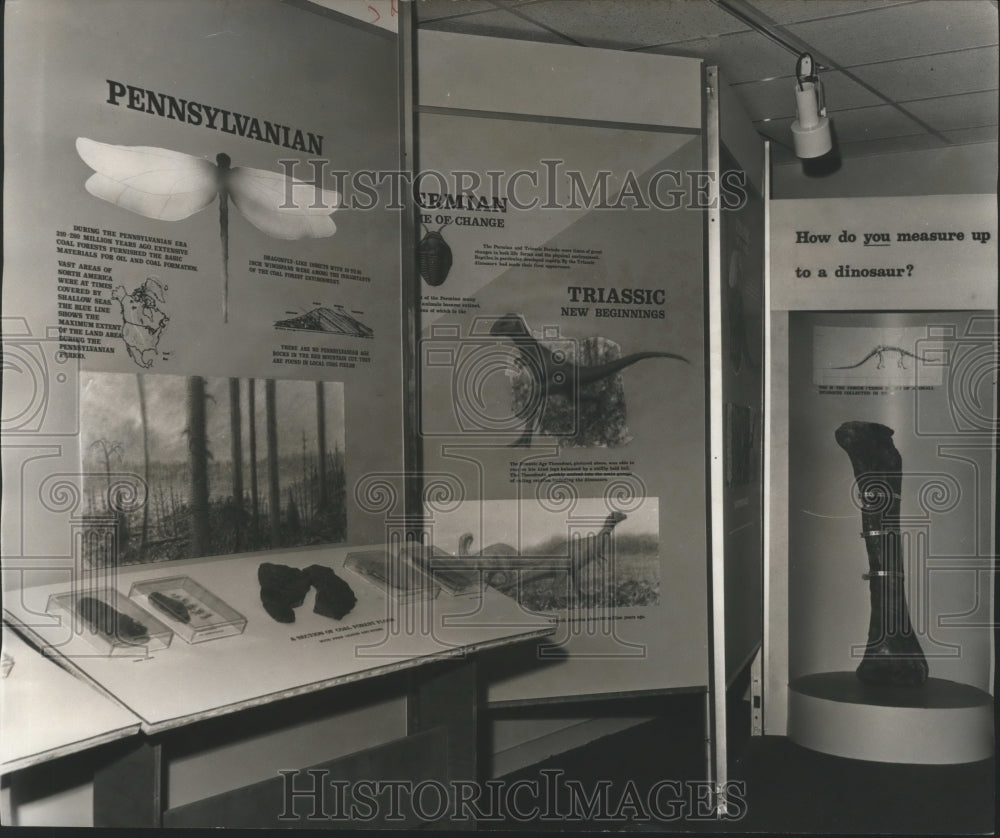 1977 Press Photo Red Mountain Museum Exhibits, Birmingham, Alabama - abna05968 - Historic Images