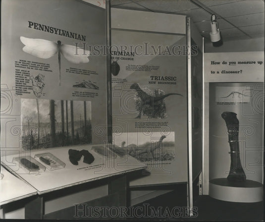 1977 Press Photo Red Mountain Museum Exhibits, Birmingham, Alabama - abna05968 - Historic Images