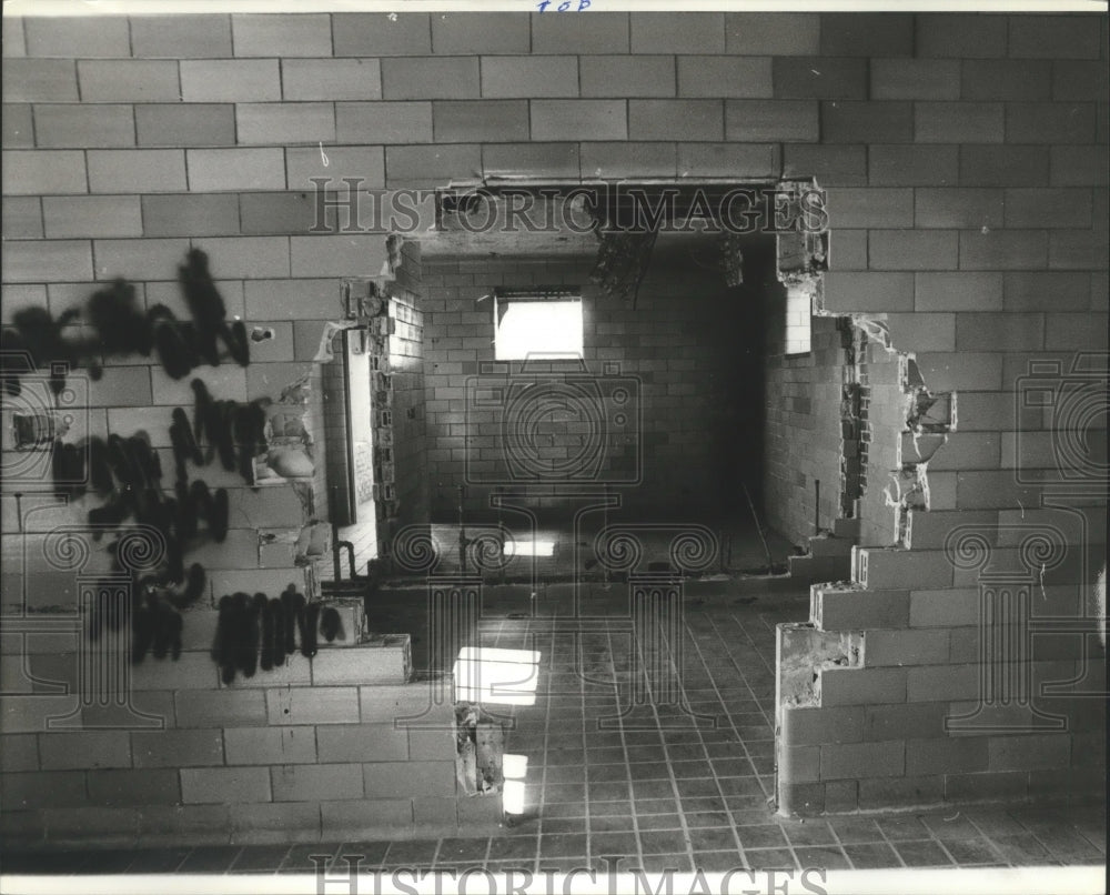 1979 Vandalism at Avondale Park, Birmingham, Alabama-Historic Images