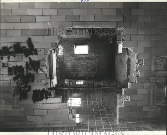 1979 Vandalism at Avondale Park, Birmingham, Alabama-Historic Images