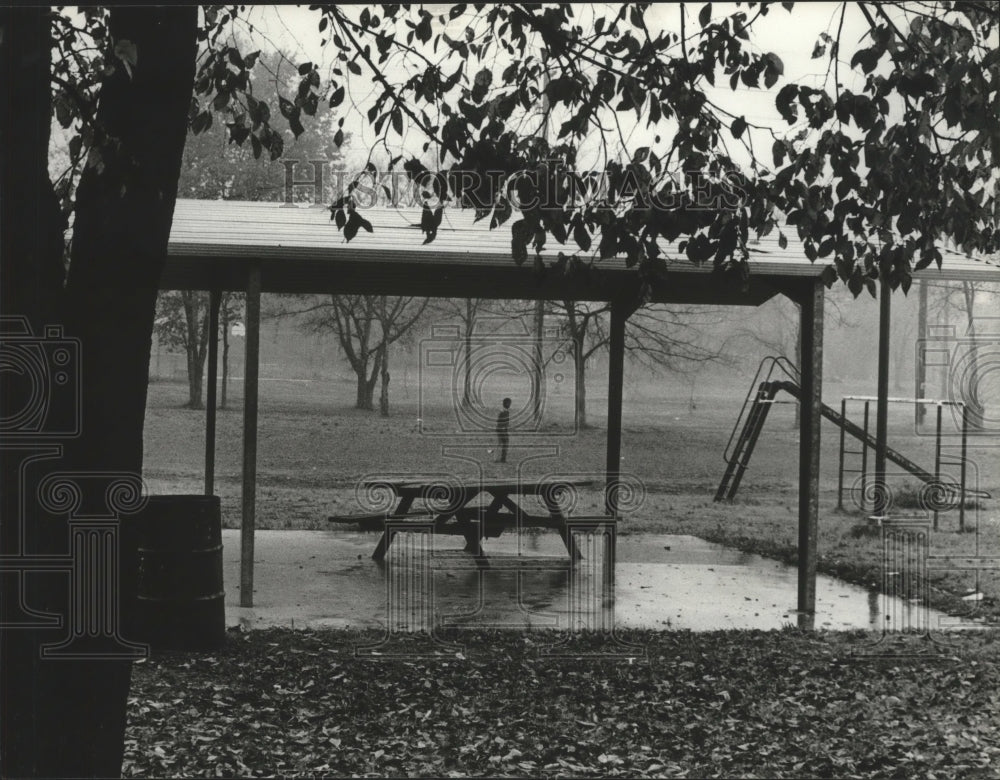 1981 Press Photo Alabama-A person stands in rain at Birmingham&#39;s Wiggins Park. - Historic Images