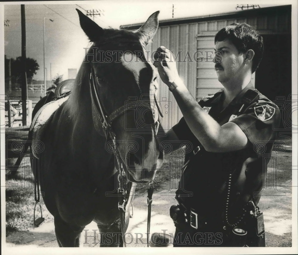 1989 Press Photo Alabama-Birmingham Police officer, Bill Wood with his horse. - Historic Images